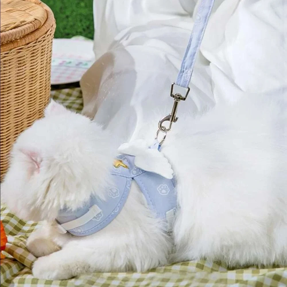 2pc Wing Decor Pet Harness & Leash 🐈